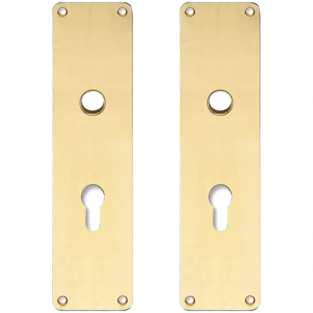 Back plate with Europrofile hole - cc72mm - Brass without lacquer - Handle hole ø15 - 235x55x2 mm