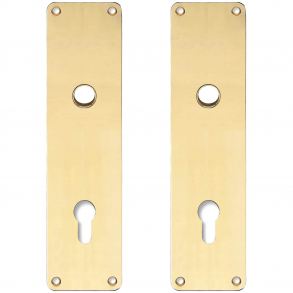 Back plate with Europrofile hole - cc92 mm - Brass without lacquer - Handle hole 16 - 235x55x2 mm