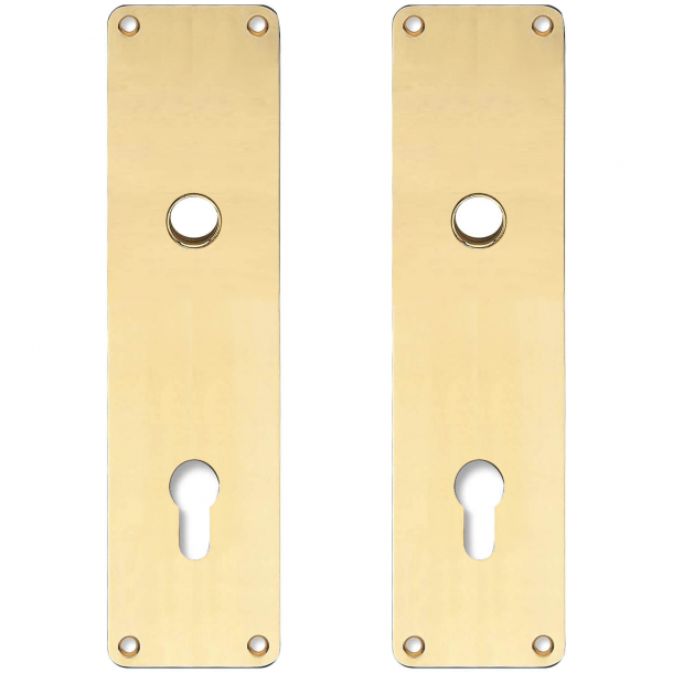 Back plate with Europrofile hole - cc92 mm - Brass without lacquer - Handle hole ø16 - 235x55x2 mm