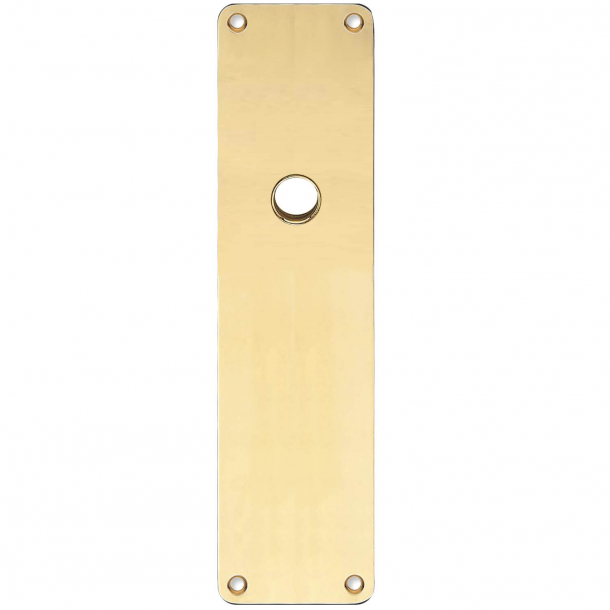 Backplate - Brass without lacquer - RUKO - door handle hole ø16 - 235x55x2 mm