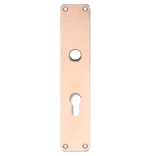 Szyld długi pod wkładkę Euro Profile - cc72mm - Miedź nielakierowana - �16 - 235x55x2 mm
