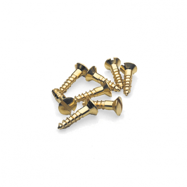 Brass wood screws - Slotted - 3x12 mm (8 pcs.)