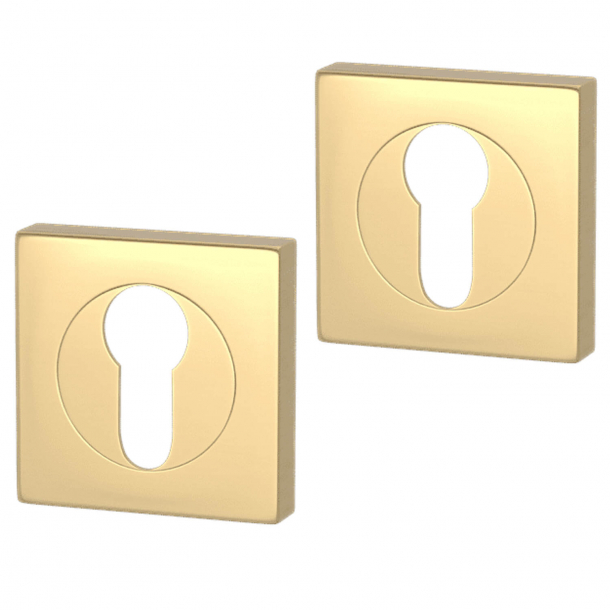 Cylinder ring - Europrofile - Polished brass - Square - Turnstyle Designs Model S1424