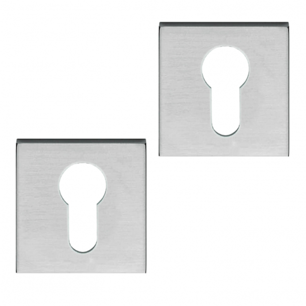 Cylinderring - Drop-formad lås (PZ-lås) - med lock - Borstad krom (Ø 50mm)